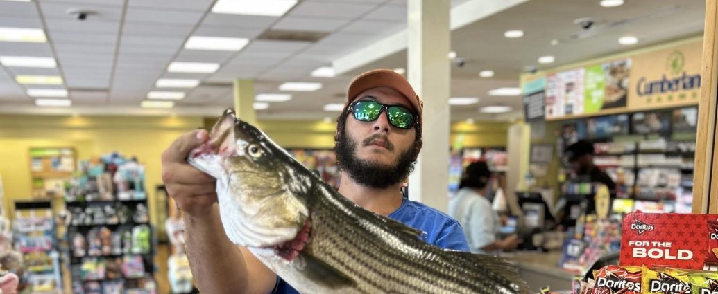 Nicholas Almeida Death, Obituary: In Loving Memory of Nicholas Almeida: A Young Life Lost to Tragic Violence in Fall River